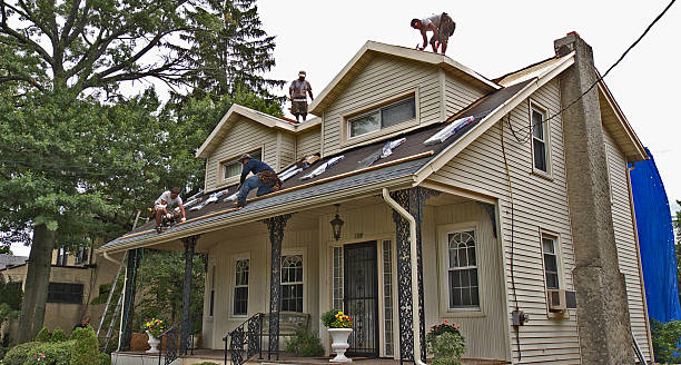 Best Flat Roof Repair Services  in Trappe, PA